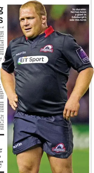  ??  ?? So durable: Nel has been
a giant in Edinburgh’s side this term