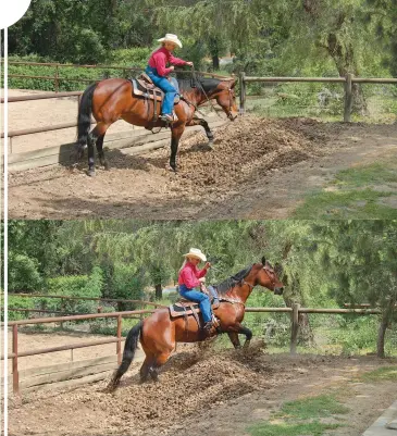  ??  ?? An easy way to prepare your horse for the sinking, unstable feeling of a bog is to ride
over a pile of dry manure. Allow ample time for him to check it out as he steps in (top),
then practice riding back and forth until he’ll do so without fear or...