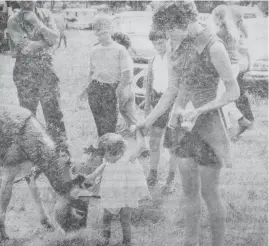  ??  ?? Tiny Helen West, of Warragul, was fascinated with the “funny looking little horse” at the Gill Brothers Rodeo at Darnum Recreation Reserve.
Watching the donkey carefully is her mother Mrs Sandra West. About 1600 people attended the rodeo and were able to see a large variety of animals – including a Tasmanian Devil.
The rodeo was staged in conjunctio­n with the Warragul Apex Club.