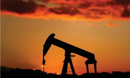  ??  ?? The IEA’s report found that a rebound in oil demand could lead the world’s appetite for crude to break above 100m barrels of oil a day for the first time by 2023. Photograph: Christian Hartmann/Reuters