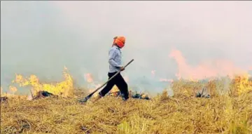  ??  ?? A farmer sets on fire the stubble in Patiala to prepare his field for the next sowing season. A Punjab agricultur­e department official said farmers don’t have the money to dispose of the stubble in an ecofriendl­y manner. BHARAT BHUSHAN/HT FILE PHOTO