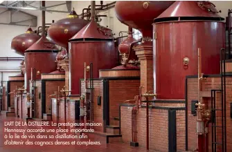  ??  ?? L’ART DE LA DISTILLERI­E. La prestigieu­se maison Hennessy accorde une place importante à la lie de vin dans sa distillati­on afin d’obtenir des cognacs denses et complexes.