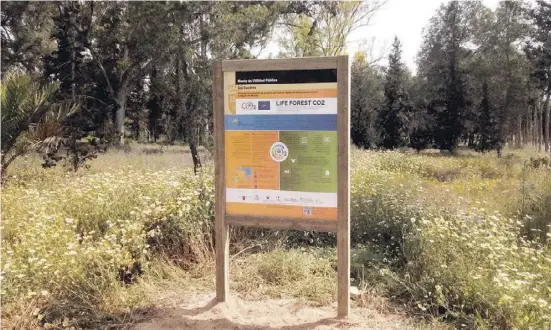  ?? Fotos: Life Forest CO2 ?? Der hügelige Wald Los Cuardos bei Murcia ist Teil des Life-Forest-Projektes.