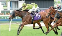  ?? PHOTO: RACE IMAGES ?? Snow Secret is a $3.80 favourite for the Listed Wanganui Cup.