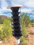  ?? COURTESY OF USFS ?? Bark Beetle funnel traps have been placed in the botanical gardens in Albuquerqu­e and Santa Fe to monitor the presence of the pests.