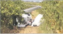  ?? (Photo Marc-Ange Ingrand) ?? Le crash a eu lieu au milieu des vignes à proximité de l’aéroport de Ghisonacci­a.
