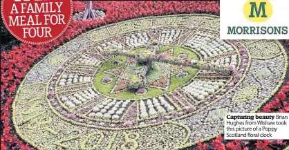  ??  ?? Capturing beauty Brian Hughes from Wishaw took this picture of a Poppy Scotland floral clock