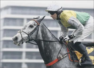  ??  ?? Cloudy Dream has withdrawn from next month’s Cheltenham Gold Cup, and will concentrat­e on the Ryanair Chase.