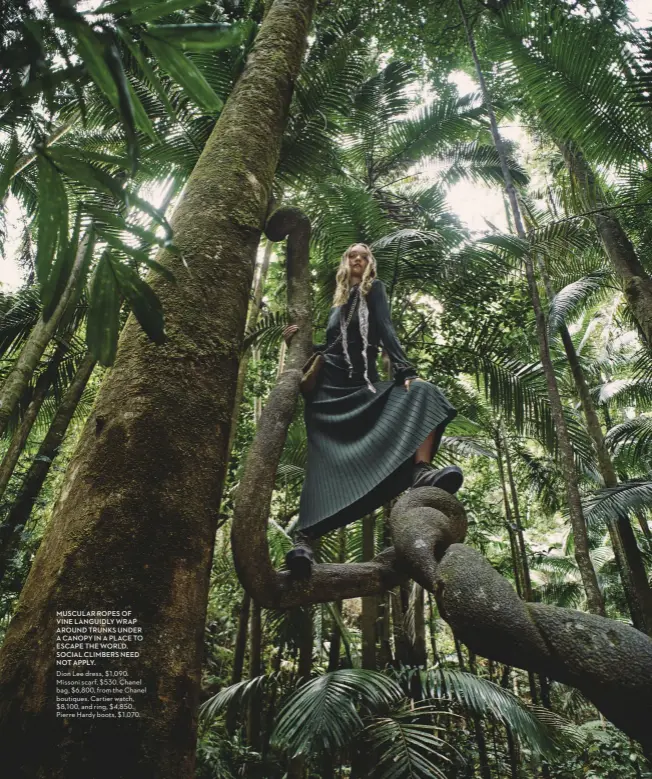  ?? ?? Dion Lee dress, $1,090. Missoni scarf, $530. Chanel bag, $6,800, from the Chanel boutiques. Cartier watch, $8,100, and ring, $4,850. Pierre Hardy boots, $1,070. MUSCULAR ROPES OF VINE LANGUIDLY WRAP AROUND TRUNKS UNDER A CANOPY IN A PLACE TO ESCAPE THE WORLD. SOCIAL CLIMBERS NEED NOT APPLY.