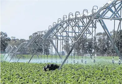  ??  ?? En cifras. La Argentina riega unas 2 millones de hectáreas. Con mayor productivi­dad, crecería la recaudació­n.