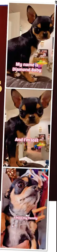  ?? ?? ‘I’M LOST’: Instagram video with Diamond Baby. Left with Paris and in designer coat