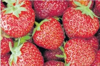  ??  ?? Now is the time to enjoy fresh strawberri­es. 123RF STOCK