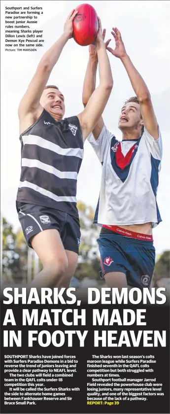  ?? Picture: TIM MARSDEN ?? Southport and Surfers Paradise are forming a new partnershi­p to boost junior Aussie rules numbers, meaning Sharks player Dillon Lewis (left) and Demon Kye Pescud are now on the same side.