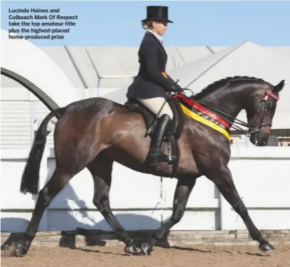  ??  ?? Lucinda Haines and Colbeach Mark Of Respect take the top amateur title plus the highest-placed home-produced prize