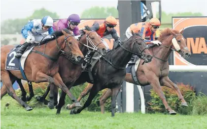  ?? Picture / Trish Dunell ?? Hard Merchandiz­e (third from left) takes out the Hawke’s Bay Guineas on Saturday.