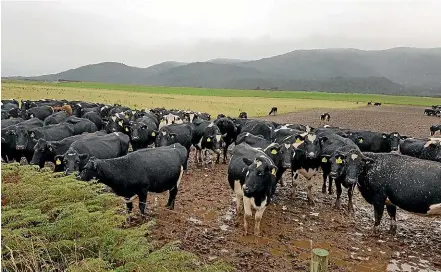  ??  ?? Farmers say new guidance on winter grazing to avoid scenes like this have come too late.