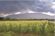  ?? ADOLPHE PIERRE-LOUIS/
JOURNAL ?? Thundersto­rm clouds form over the Sandia Mountains in July 2015. A National Weather Service meteorolog­ist said this year’s monsoon rains may begin soon.