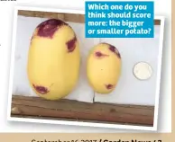  ??  ?? Which one do you think should score more: the bigger or smaller potato?