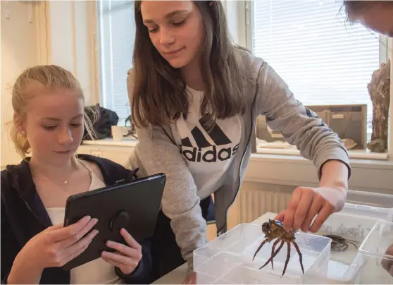  ?? Bild: JAKOB SIMONSON ?? NOTERAR RESULTATEN. Eleverna Ida Nylund och Maja Edlund i sexan på Tjärnö skola fick utföra experiment med krabbor.