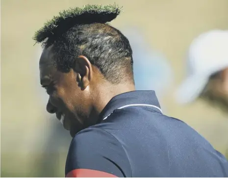  ??  ?? 0 When the going gets turf: Tiger Woods smiles after one of his US team-mates placed a tuft of grass on his head during practice.
