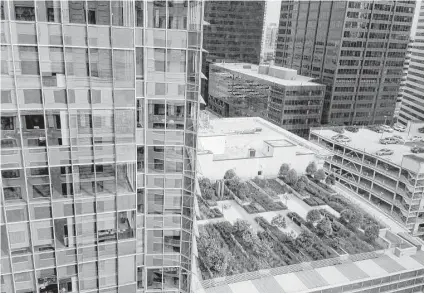  ?? Katherine Feser / Houston Chronicle ?? BG Group Place on Main Street in downtown Houston was built with sustainabl­e features such as this sky garden. A new cityapprov­ed program aims to make it more affordable for smaller building owners with less financial means to go green as well.