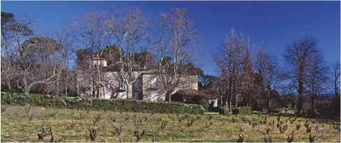  ??  ?? Above: Château Rayas’ woodland estate is interspers­ed with old Grenache vines