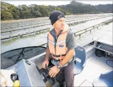  ?? PICTURE / MICHAEL CUNNINGHAM ?? Waikare Inlet oyster farmer Steve Van Veen says he has been hit by thieves three times in the past month, with about $1000 worth of shellfish taken each time.