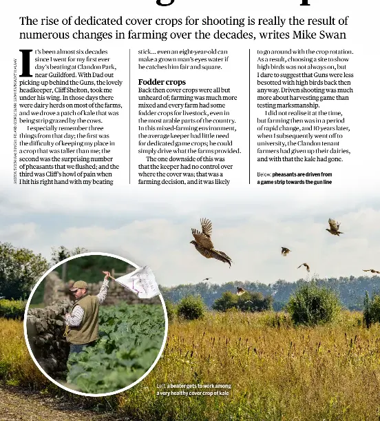 The curious history of Britain’s game crops PressReader