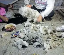  ?? MARTÍN MARTÍNEZ ?? Niños pidieron
ayuda para cortarle el pelo.