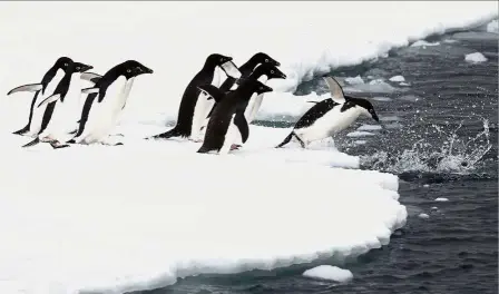  ?? — AFP ?? Habitat under threat: Scientists say Antarctic penguins are particular­ly vulnerable to climate change.