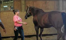  ?? KRISTI GARABRANDT — THE NEWS-HERALD ?? Donna Wray, 20-year Air Force veteran, participat­es in an Equine Assisted Therapy activity where she is trying to navigate a horse through use of body language during the Operation Horses and Heroes Program at Hambden Hills Stables, Sept. 22.