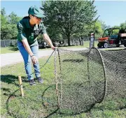  ?? THE OKLAHOMAN]
[PHOTO BY PAUL HELLSTERN, ?? Fish technician Carmen Esqueda demonstrat­es a net used for gathering fish during the 2016 open house at Oklahoma City’s H.B. Parsons Fish Hatchery.