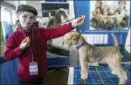  ?? MARY ALTAFFER — THE ASSOCIATED PRESS ?? In this Saturday photo, Fenric Towell poses for a photo with his lakeland terrier Missy during the meet the breeds companion event to the Westminste­r Kennel Club Dog Show in New York.