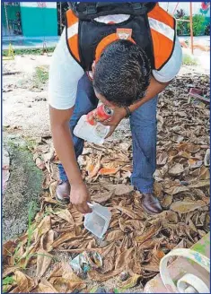  ??  ?? Autoridade­s de salud en el Estado recomienda­n a los ciudadanos tener sus patios limpios sin agua estancada