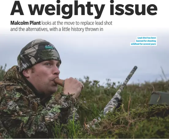  ??  ?? Lead shot has been banned for shooting wildfowl for several years