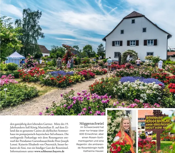  ??  ?? Nöggenschw­iel im Schwarzwal­d hat zwar nur knapp über 600 Einwohner, aber einen Rosen-Sortiments­garten und eine Regentin: die amtierende Rosenkönig­in heißt Katharina Hauser.