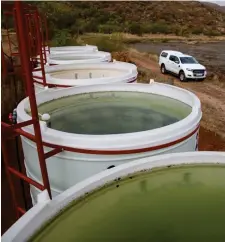  ??  ?? Algae reactors installed in Motetema