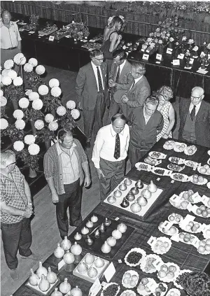  ??  ?? A scene from Forfar Flower Show in this photograph, taken from our archives, in 1976.