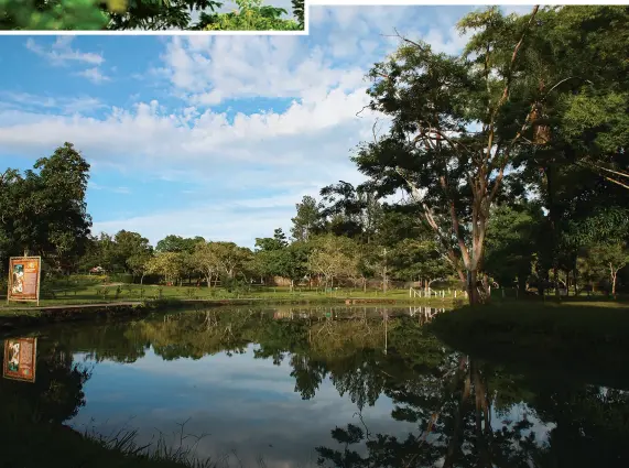  ??  ?? No Lago Corumbá (acima), casas de veraneio e esportes náuticos compõem a paisagem. Já a
Lagoa Quente de Pirapiting­a (abaixo), foi onde tudo começou; suas águas quentes brotam a mais de 50 graus