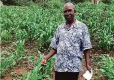  ?? Bloomberg ?? Farmer Godwin Mukenani Mwiya stands in his corn field south of Lusaka, Zambia.