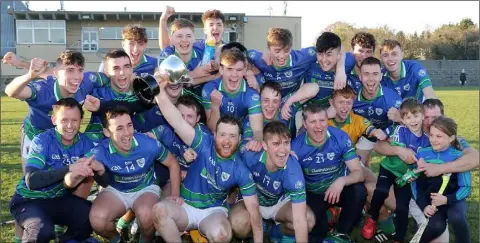  ??  ?? Jubilation after the presentati­on of the trophy from the Glynn-Barntown contingent.