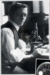  ??  ?? Scottish scientist Sir Alexander Fleming. Below, the original culture of his groundbrea­king Penicilliu­m notatum discovery.