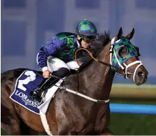  ?? DRC ?? Trainer Doug Watson has 12 wins at Meydan this season with Patrick Dobbs on Thegreatco­llection looking to add more