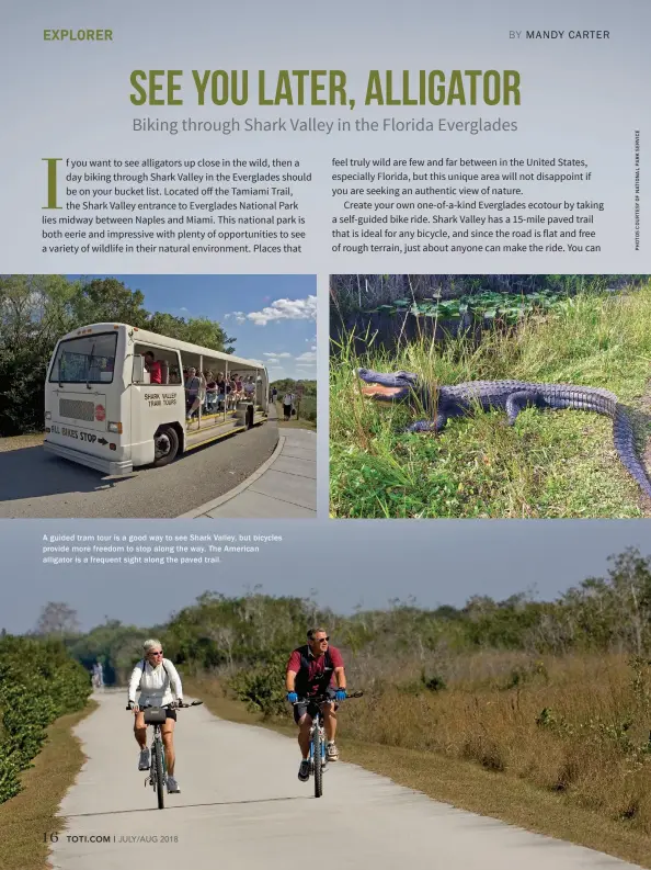  ??  ?? A guided tram tour is a good way to see Shark Valley, but bicycles provide more freedom to stop along the way. The American alligator is a frequent sight along the paved trail.