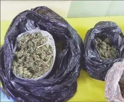  ??  ?? Suspected cannabis allegedly seized from the Dazzell Housing Scheme property where Rawle Farrell resides. (Photo Credit Customs Anti-Narcotic Unit)