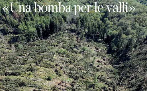  ?? (foto Marco Corso) ?? Con i droni In alto e in basso a sinistra gli alberi distrutti dal vento di scirocco settimana scorsa al Campo dei Fiori. In basso a destra i boschi sradicati a Vararo