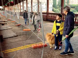  ??  ?? Impegno La «compagnia del Ponte» composta da volontari di Centro storico e Angarano al lavoro con i profughi sul ponte aperto