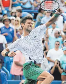  ?? FOTO: DPA ?? Ist der Meinung, das war Spitze – nicht nur er: Novak Djokovic.