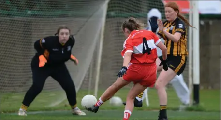  ??  ?? Louth’s Shannen McLoughlin takes aim at the Kilkenny goal.