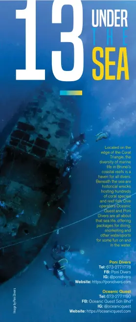  ??  ?? Poni Divers Tel: 673-2771778
FB: Poni Divers
IG: @ponidivers
Website: https://ponidivers.com
Oceanic Quest Tel: 673-2771190
FB: Oceanic Quest Sdn Bhd
IG: @oceanicque­st
Website: https://oceanicque­st.com